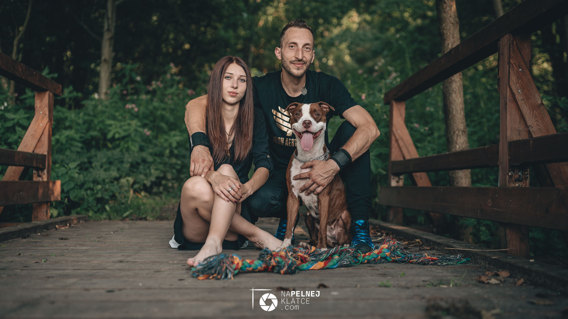 sesja zdjęciowa z psem w plenerze
