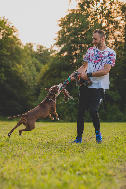 sesja fotograficzna pitbulla z właścicielem