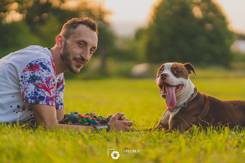 psia sesja fotograficzna
