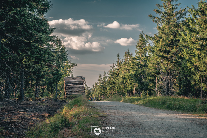 fotografia krajobrazowa w górach bystrzyckich